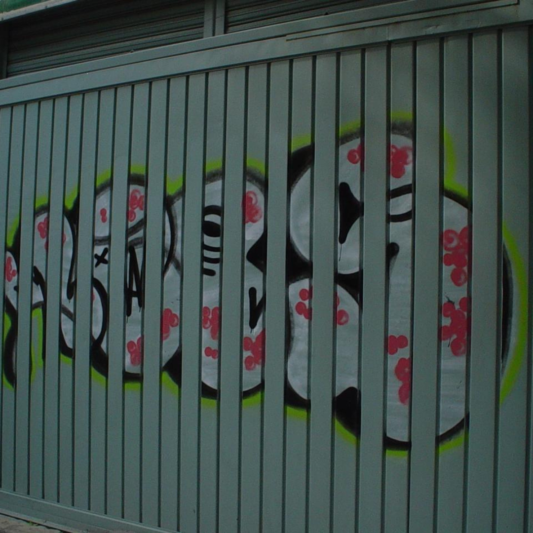 ANTIGRAFITHOR - Imagen 3